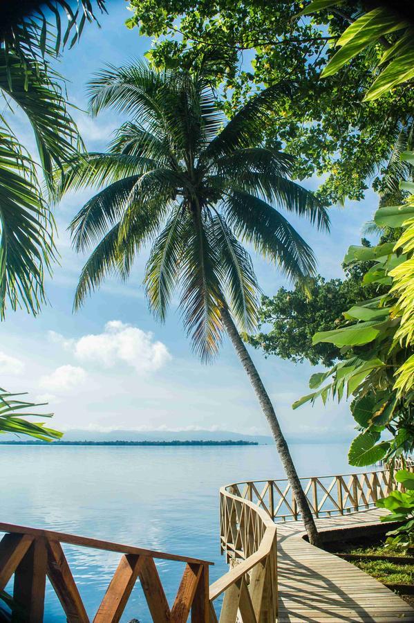 Banana Palms Hotel نهر دولسي المظهر الخارجي الصورة
